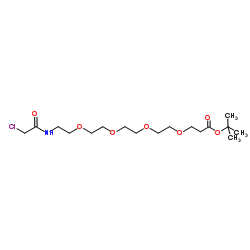 Chloroacetamido-PEG4-C2-Boc