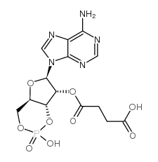 3’:5’-环一磷酸-2’-O-一丁二酰腺苷