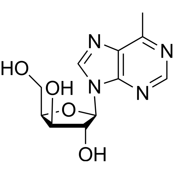 9H-Purine, 6-methyl-9-b-D-xylofuranosyl-