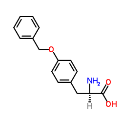 O-苄基-D-酪氨酸