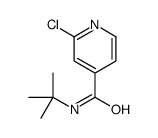 N-叔丁基-2-氯异烟酰胺