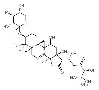 黑升麻苷H-2