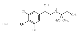 克伦潘特 盐酸盐