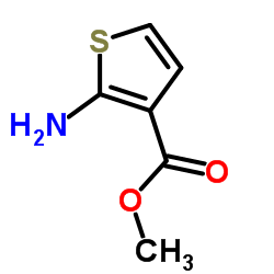 2-氨基噻吩-3-羧酸甲酯