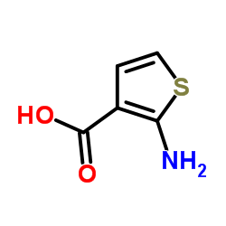 2-氨基噻吩-3-甲酸