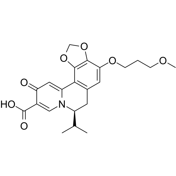 HBV-IN-13