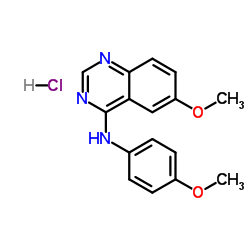 LY 456236