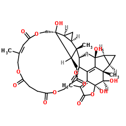 ChloraMultilide B