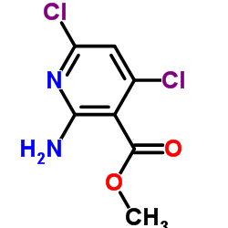2-氨基-2,4-二氯烟酸甲酯