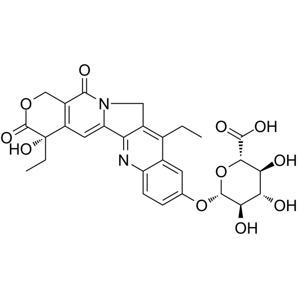 SN-38葡糖醛酸