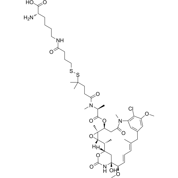 Lys-Nε-SPDB-DM4