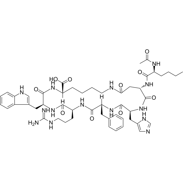 布雷默浪丹 PT 141