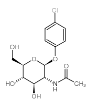 4-氯苯基-2-乙酰氨基-2-脱氧-Β-D-葡萄糖苷