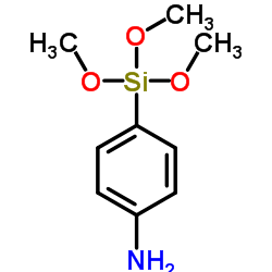 间-氨基苯基三甲氧基硅烷