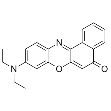 尼罗丝