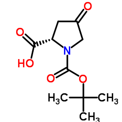 N-Boc-4-氧代-L-脯氨酸