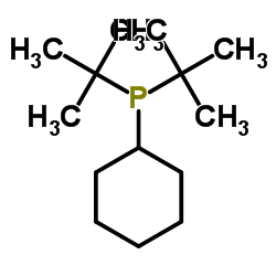 Cyclohexyldi-T型丁基膦