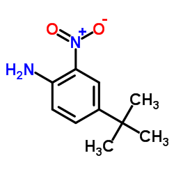 4-(叔丁基)-2-硝基苯胺