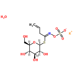 黑芥子硫苷酸钾一水