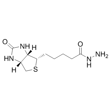 生物素酰肼