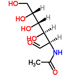 N-乙酰氨基葡萄糖