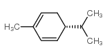 (R)-(-)-α-水芹烯