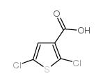 2,5-二氯-3-噻吩甲酸