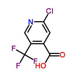 2-氯-5-三氟甲基吡啶-4-甲酸