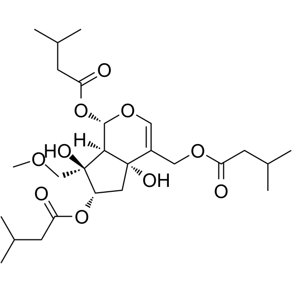 Heterophdoid A