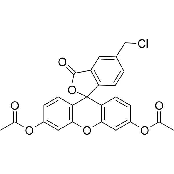 5-氯甲基荧光素二乙酸酯