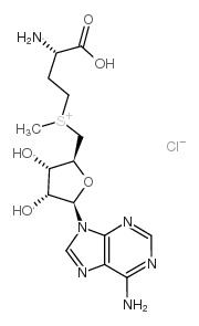 S-(5'-腺苷基)-L-氯化蛋氨酸