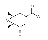 大叶菜酸