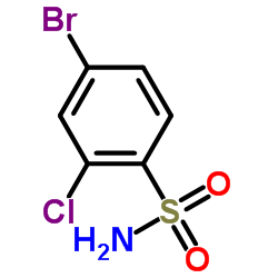 4-溴-2-氯苯磺酰胺