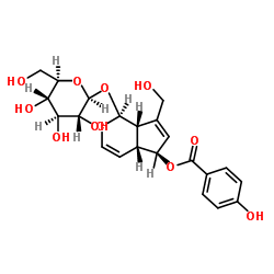 6-O-对羟基苯甲酰桃叶珊瑚苷