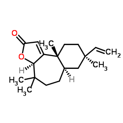 Fischeria A