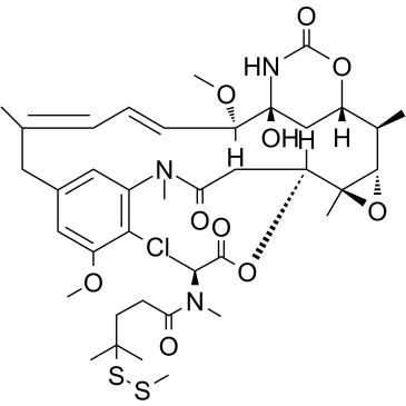 DM4-SMe