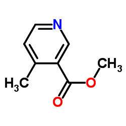 4-甲基烟酸甲酯
