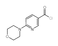 6-吗啉烟酰氯