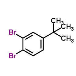 3,4-二溴叔丁基苯