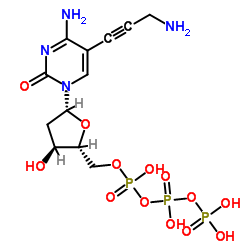 5-Propargylamino-dCTP