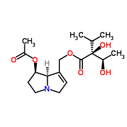 7-Acetylintermedine