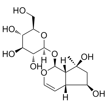 益母草苷