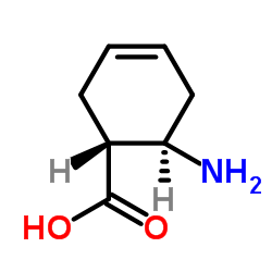 6-氨基环己-3-烯甲酸盐酸盐