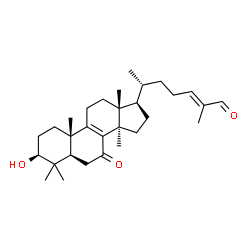 Lucidal