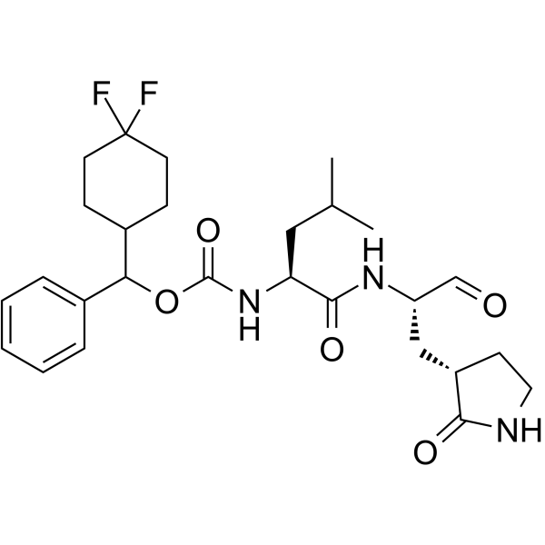 SARS-CoV-2-IN-10