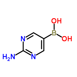 2-氨基嘧啶-5-硼酸