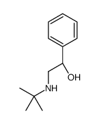 (R)-(-)-2-叔丁基氨基-1-苯基乙醇