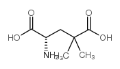 4-二甲基-L-谷氨酸