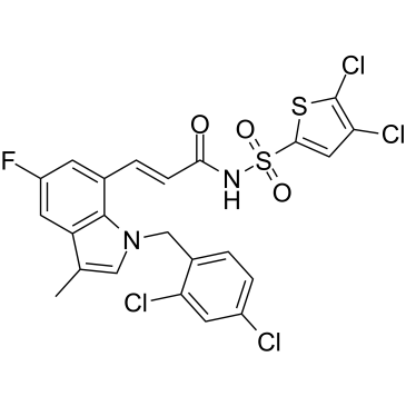 DG-041