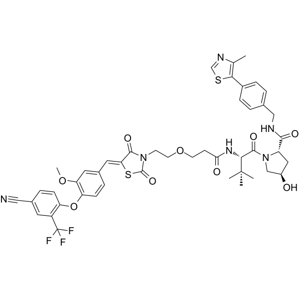 PROTAC_ERRα